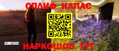 эйфоретик Гусев